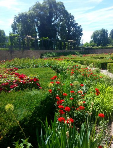 Garten-am-Kurfürstlichen-Schloss-in-Koblenz3_©RosiKmitta