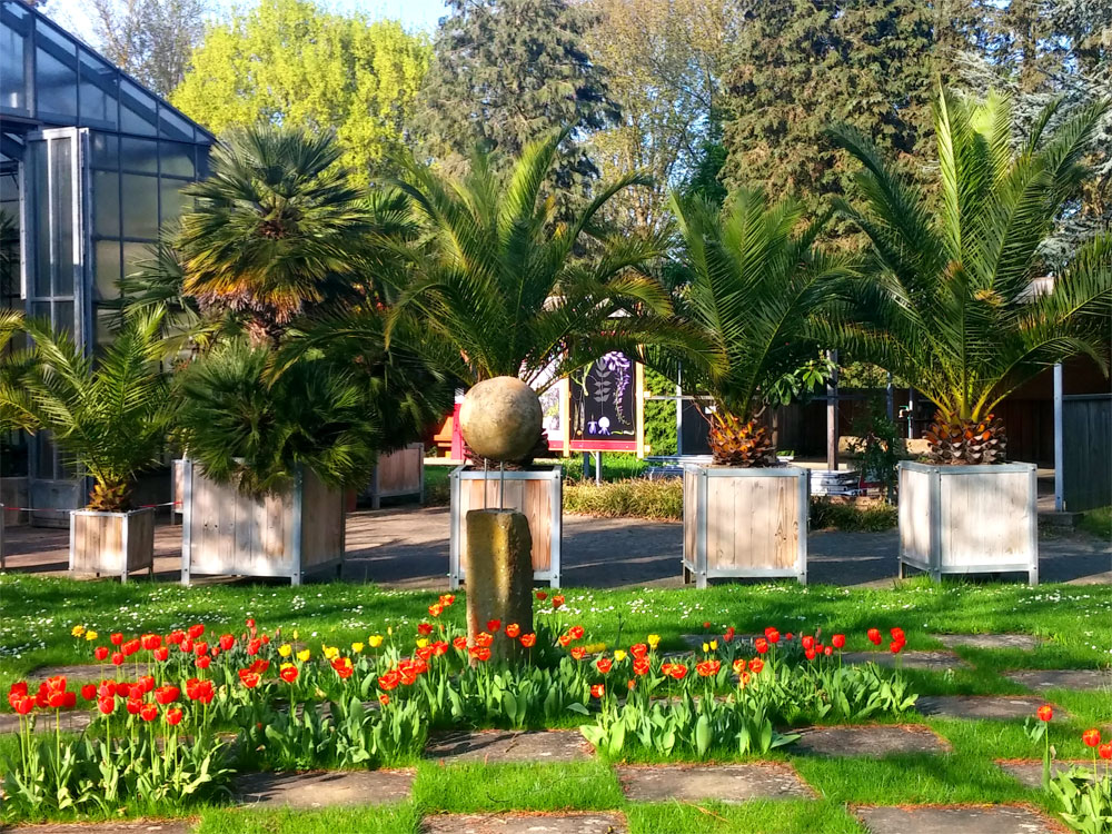 Botanischer Garten Würzburg Veranstaltungen / Museum